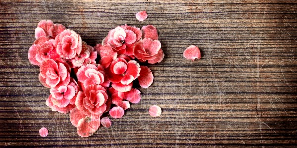 Valentines Day 2019