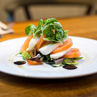 Sandwiches & Salads