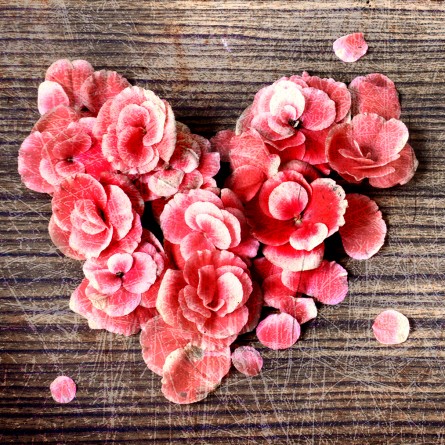 Valentines Day 2019